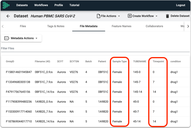 Add Metadata to your Dataset