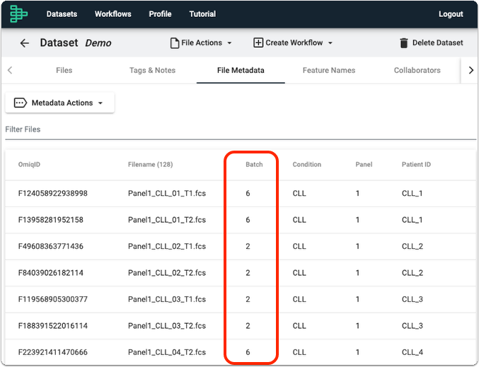 Add Metadata to your Dataset