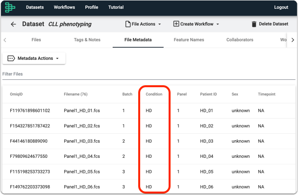 Add Metadata to your Dataset