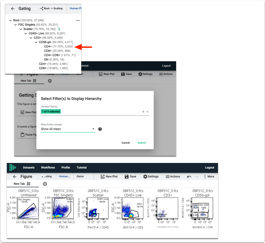 show all steps example in view gating hierarchy
